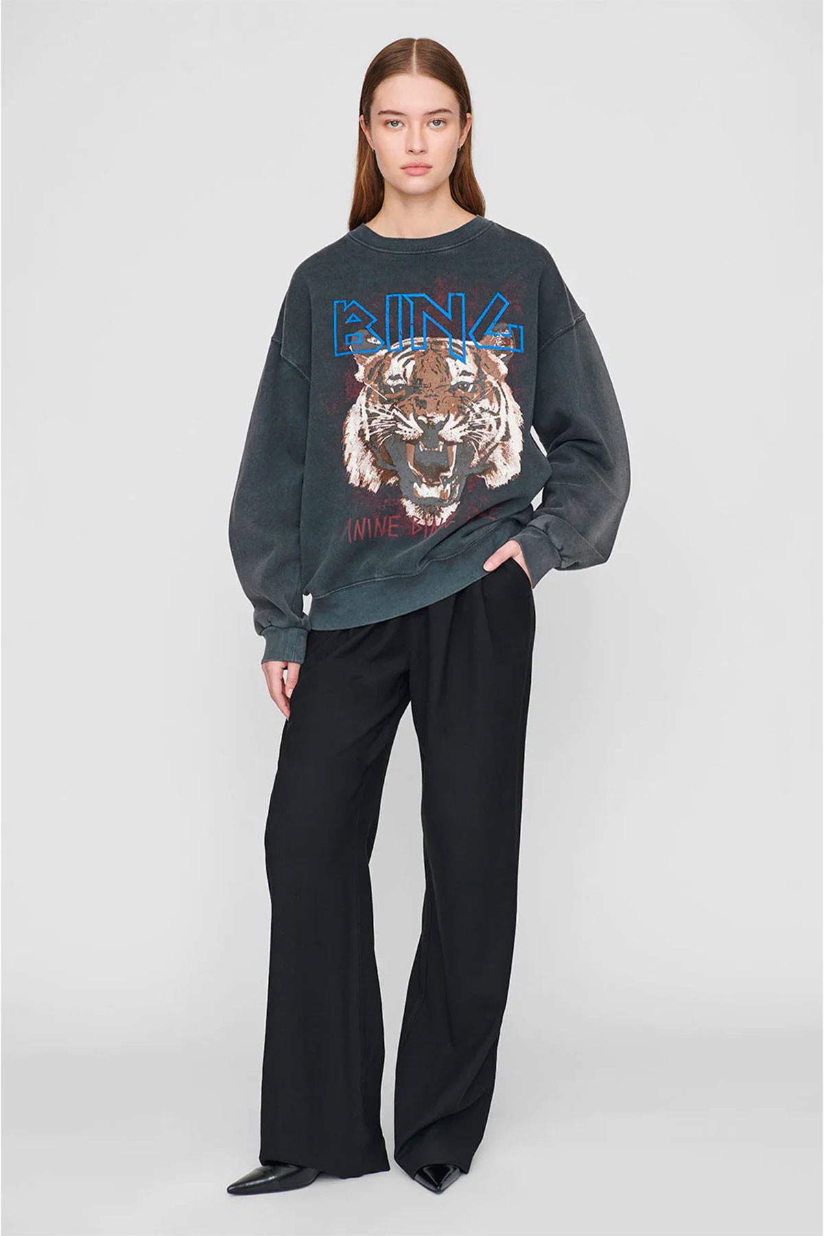 anine bing sweatshirt tiger