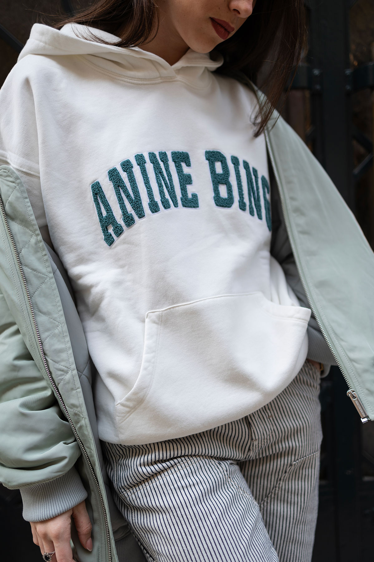 anine bing sweatshirt harvey