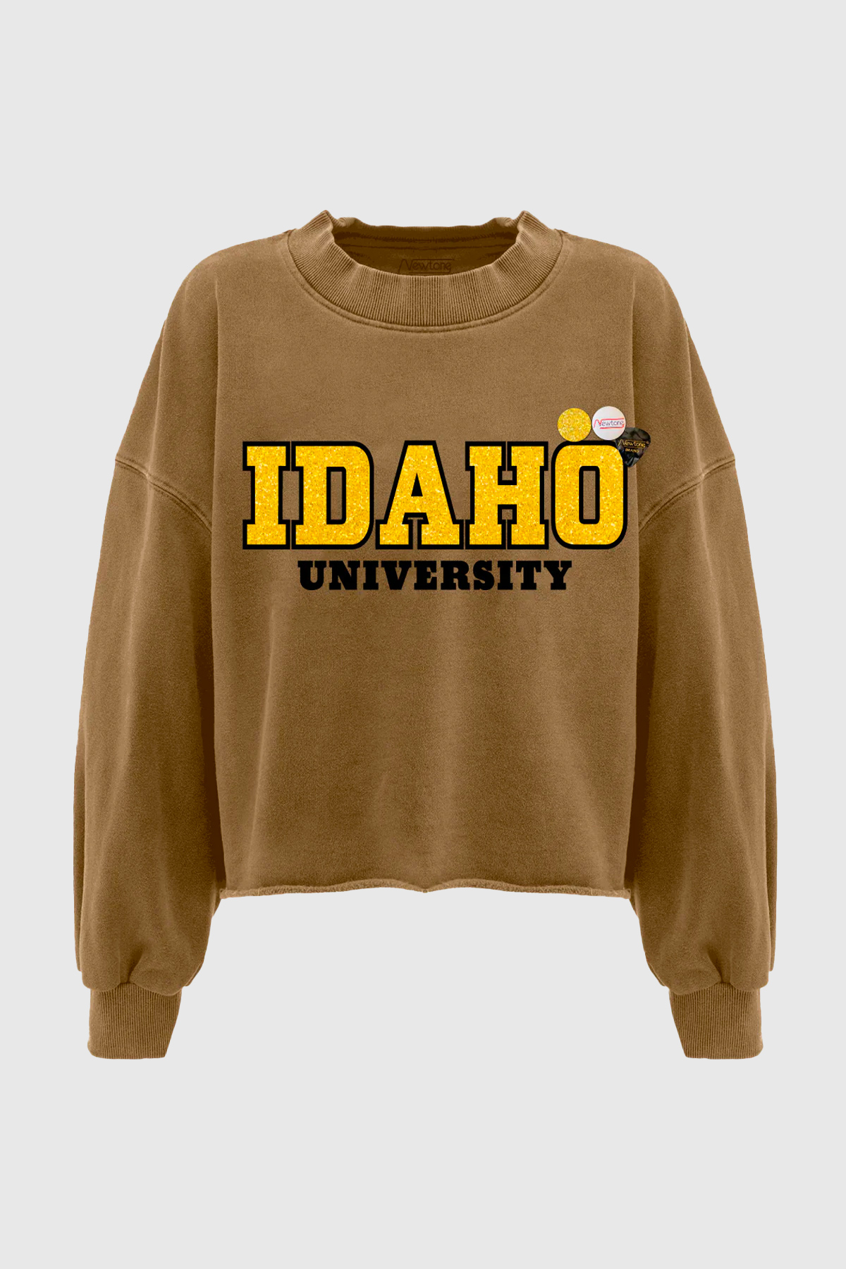 newtone sweatshirt porter university