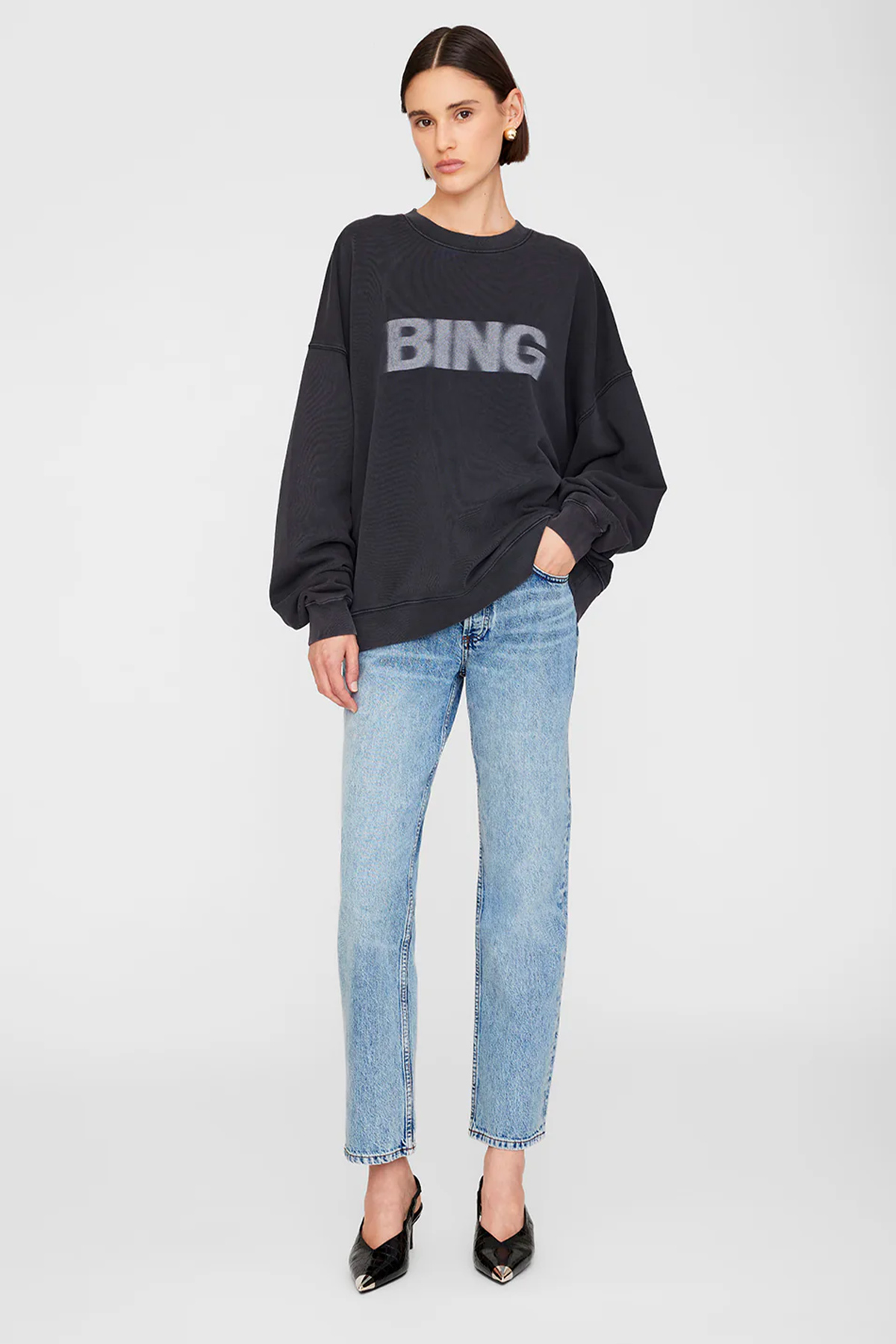 anine bing sweatshirt miles blur