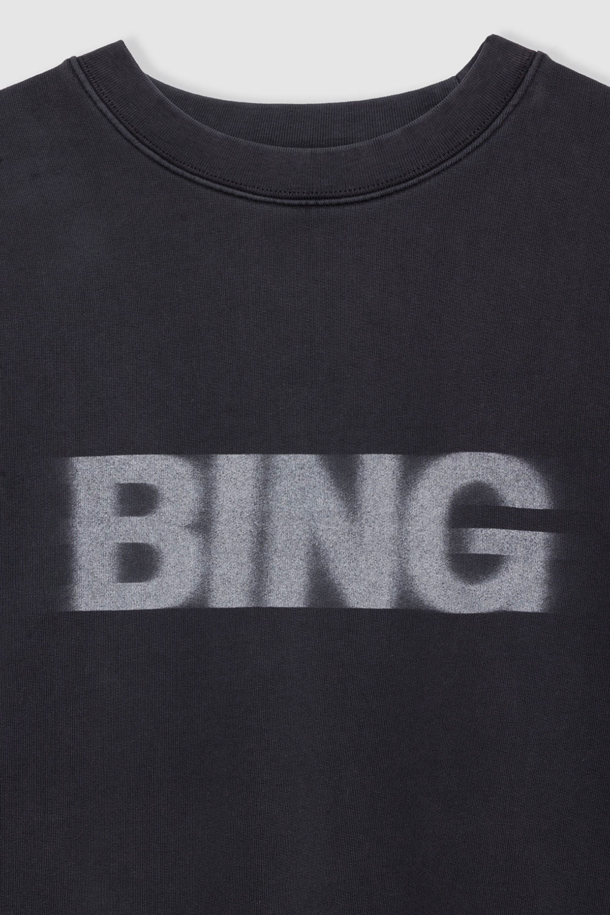 anine bing sweatshirt miles blur