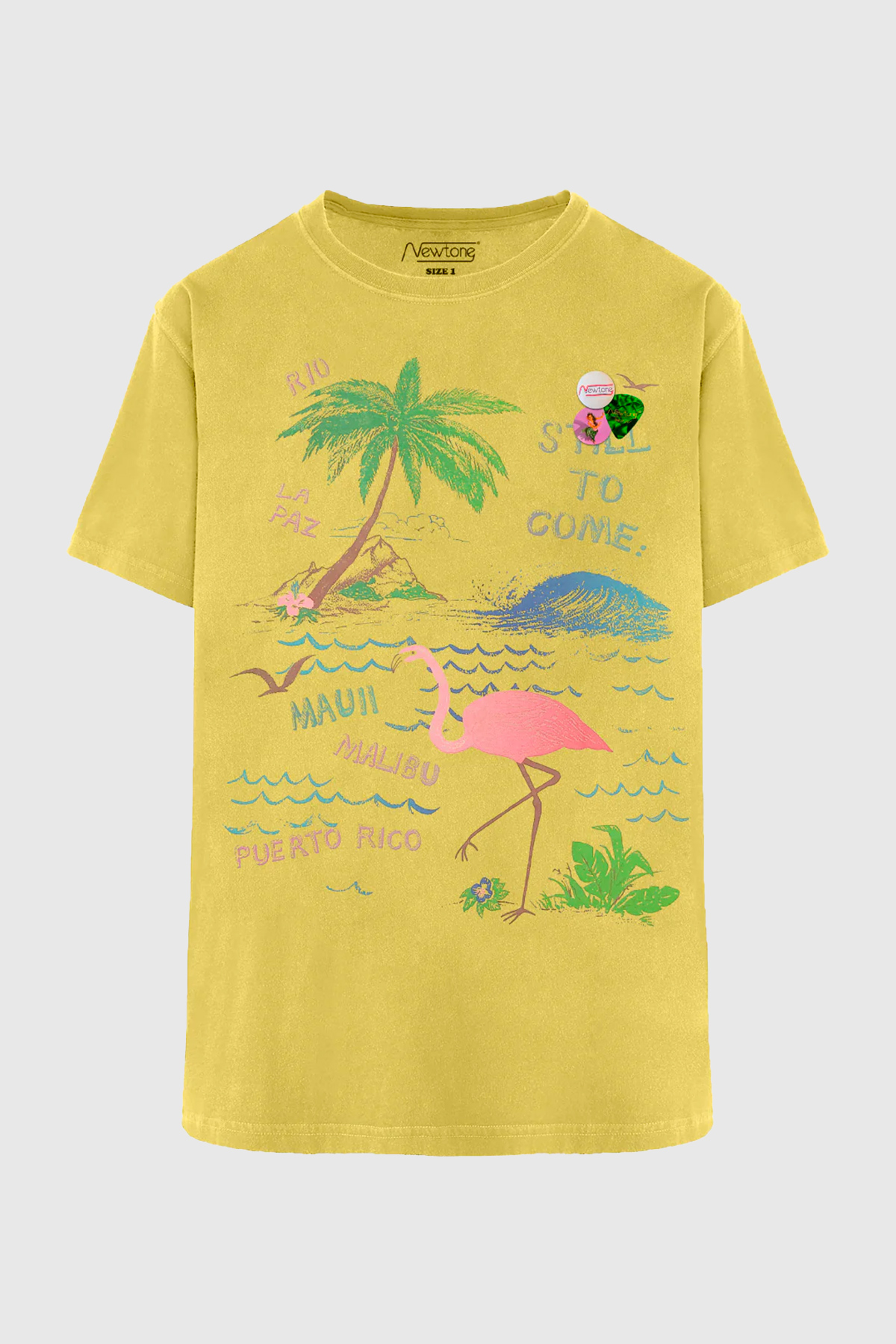 newtone t shirt trucker flamingo