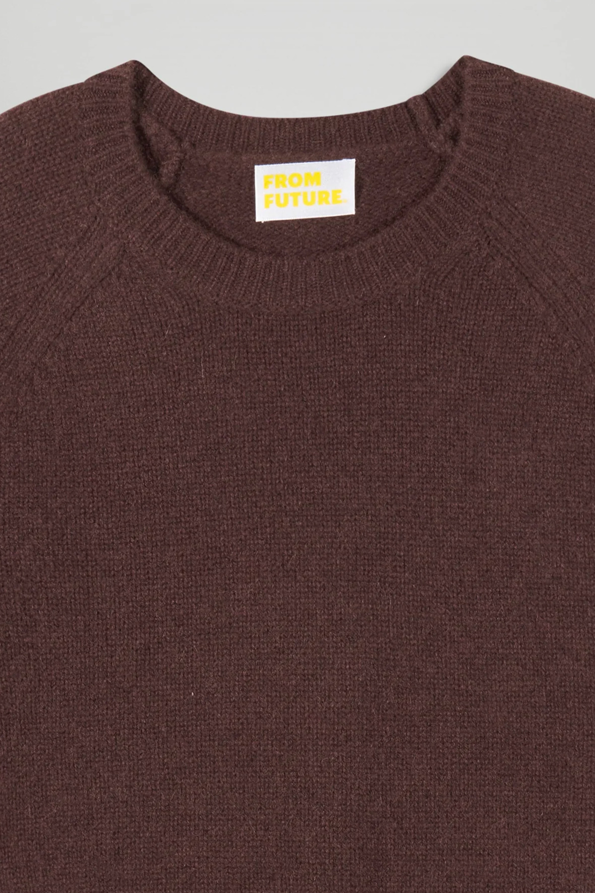 from future pull col rond raglan
