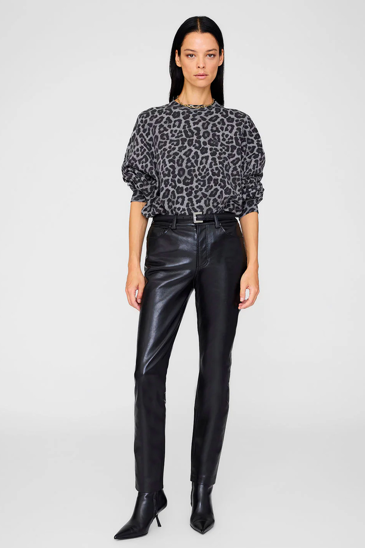 anine bing sweatshirt miles