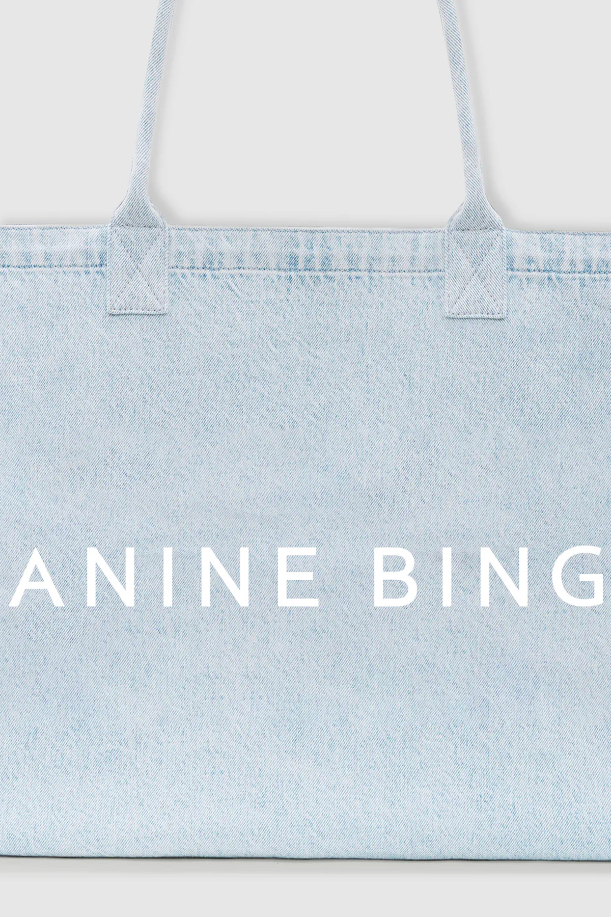 anine bing tote bag leo
