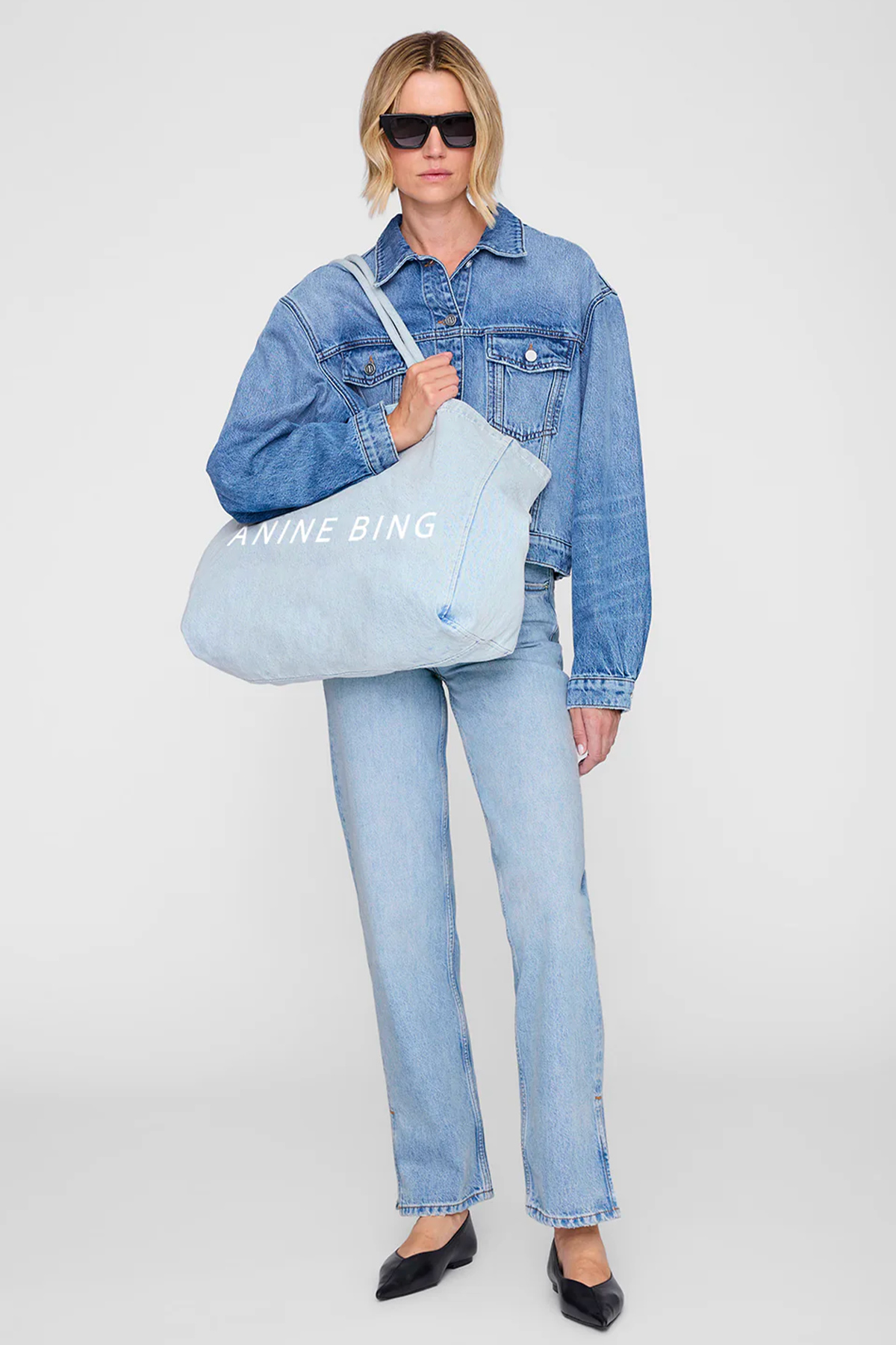 anine bing tote bag leo
