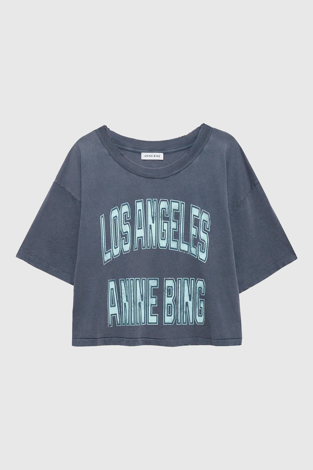 anine bing tshirt johnny cropped tee